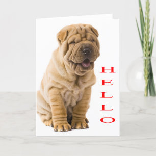 Hallo Shi Pei Welpe Hund Blank Card Karte
