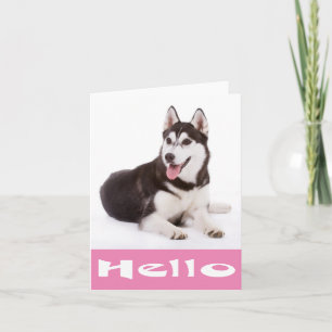 Hallo Sibirischer Husky Welpen Hund Leere Karte