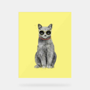 Hallo Sommer Acrylschild