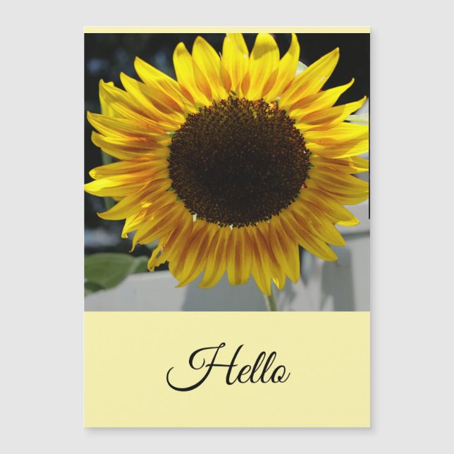 Hallo Sonnenblume Magnetkarte (Vorderseite)