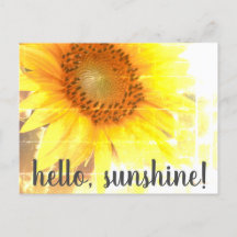"Hallo, Sonnenschein!" Abgeblendete Sonnenblume Po