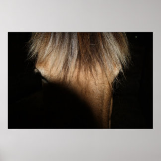 Hallo, Stranger - Poster