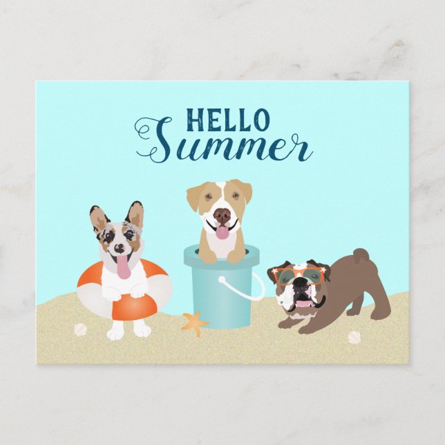Hallo Summer Beach Hunde Postkarte (Vorderseite)