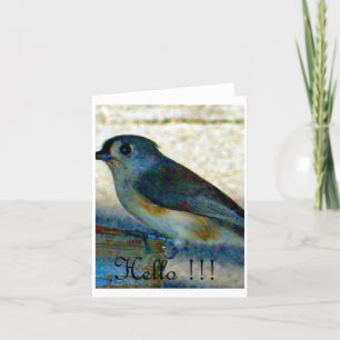 Hallo Vogel Karte