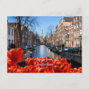 Hallo von Amsterdam Frühling rote Tulpen Postkarte