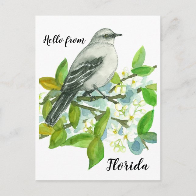 Hallo von Florida Mockingbird Orange Blossom Postkarte (Vorderseite)