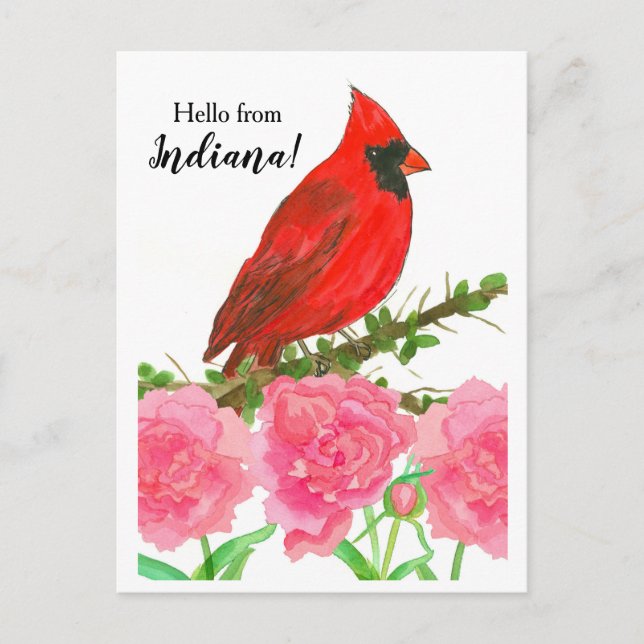 Hallo von Indiana Red Male Kardinal Bird Postkarte (Vorderseite)