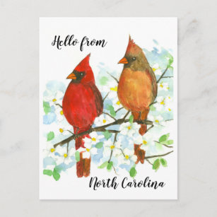 Hallo von North Carolina Kardinals Postkarte