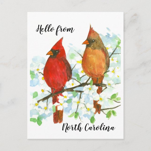 Hallo von North Carolina Kardinals Postkarte (Vorderseite)