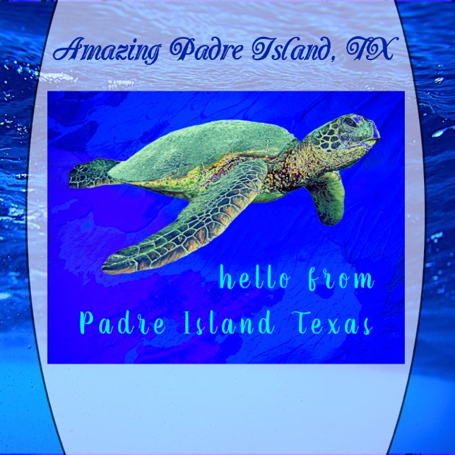 Hallo von Padre Island TX Ocean Blue Sea Turtle Postkarte (Von Creator hochgeladen)