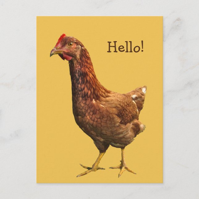 Hallo von Red Hen Chicken Postcard Postkarte (Vorderseite)