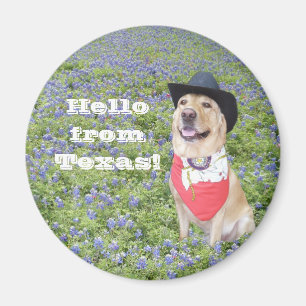 Hallo von Texas! Magnet