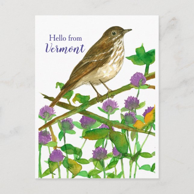 Hallo von Vermont Hermit Thrush Lila Clover Postkarte (Vorderseite)