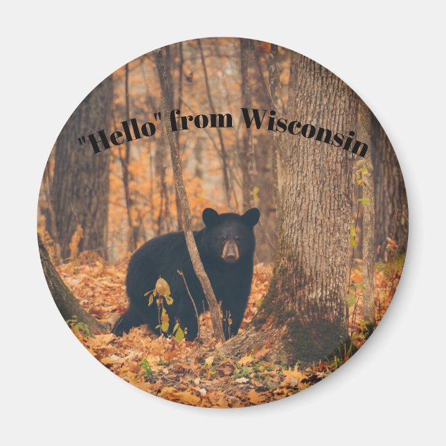 Hallo Von Wisconsin mit schwarzem Bär Magnet (Vorne)