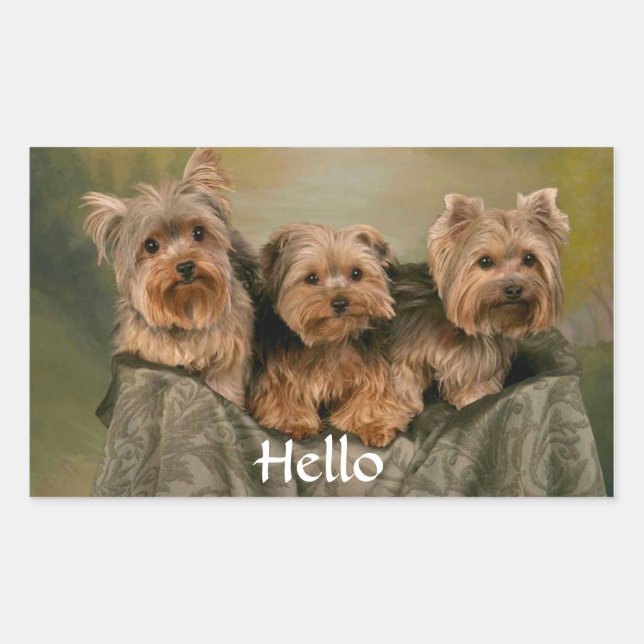 Hallo Yorkshire Terrier Puppy Dog Grußsticker Rechteckiger Aufkleber (Vorderseite)