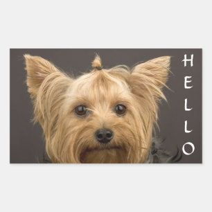 Hallo Yorkshire Terrier Yorkie Welpenhund Aufklebe Rechteckiger Aufkleber