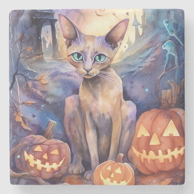 Halloween Abessinerkatze mit Kürbis Beängstigend Steinuntersetzer (Vorderseite)