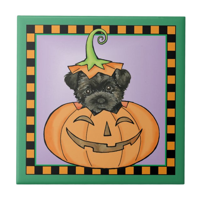 Halloween Affenpinscher Fliese (Vorderseite)