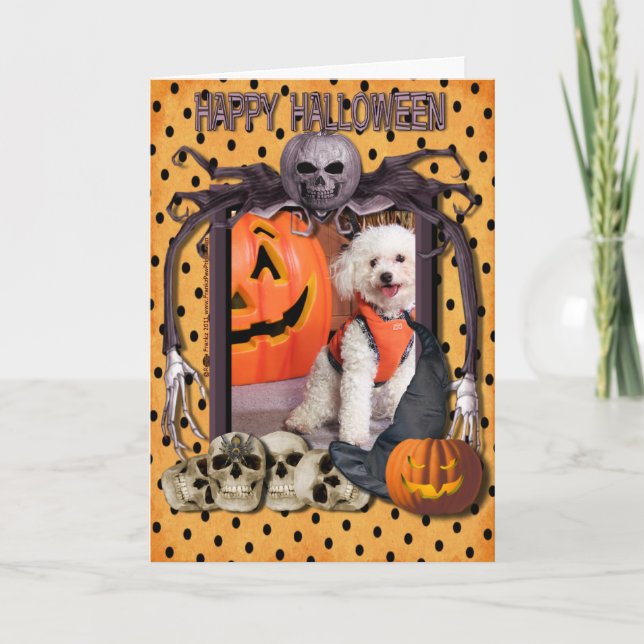 Halloween-Albtraum - Chloe - Poochon - Foto-10 Karte (Vorderseite)