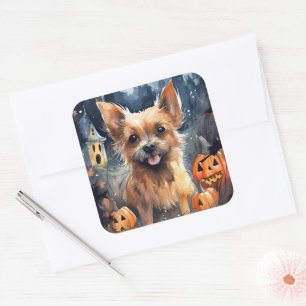 Halloween Australian Terrier mit Kürbissen Gruseli Quadratischer Aufkleber