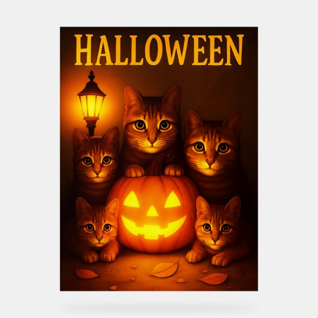 Halloween avec Art numérique orange de chat (Recto)