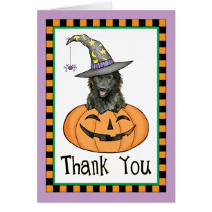 Halloween Belgium Sheepdog