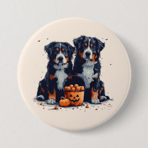 Halloween Bernese Mountain Hogs Pumpkin Button