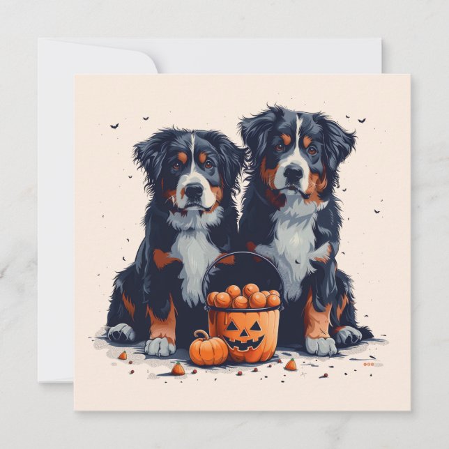 Halloween Bernese Mountain Hogs Pumpkin Einladung (Vorderseite)