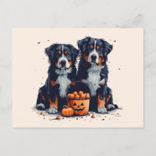Halloween Bernese Mountain Hogs Pumpkin Postkarte