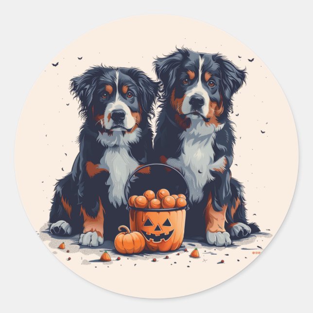 Halloween Bernese Mountain Hogs Pumpkin Runder Aufkleber (Vorderseite)