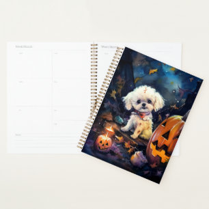 Halloween Bichon Frise Avec La Peur Citrouille