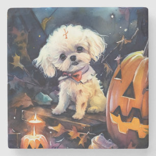 Halloween Bichon Frise mit Kürbissen Gruselig Steinuntersetzer