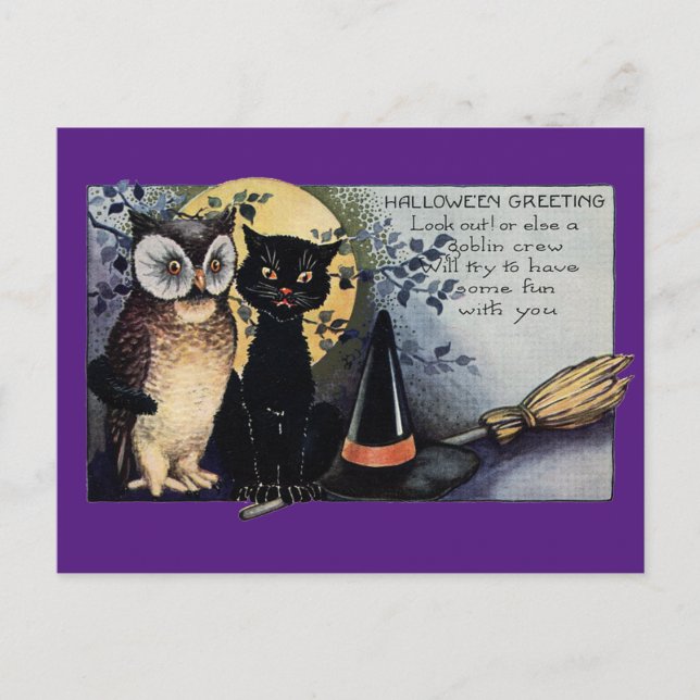 Halloween Black Cat and Owl Postkarte (Vorderseite)