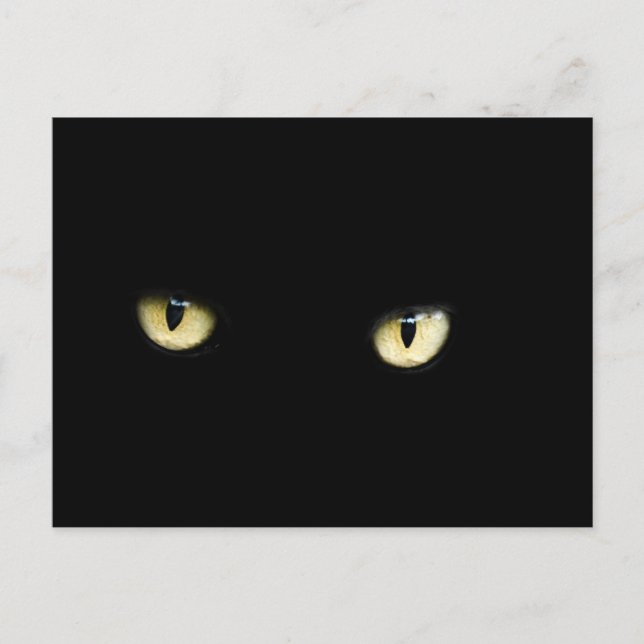 Halloween Black Cat Eyes Postcard Postkarte (Vorderseite)