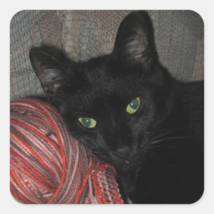 Halloween Black Cat Quadratischer Aufkleber
