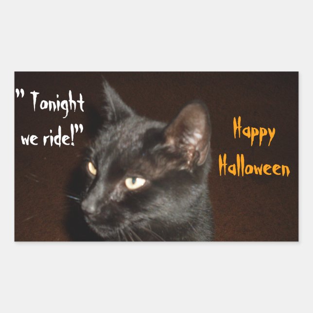 HALLOWEEN BLACK CAT RIDE-Aufkleber Rechteckiger Aufkleber (Vorderseite)