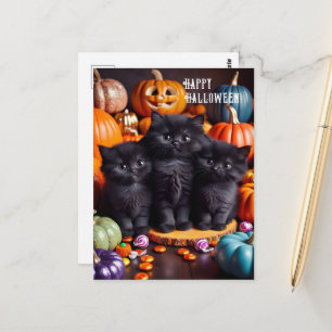 Halloween Black Cats mit Pumpkins und Candy Postkarte