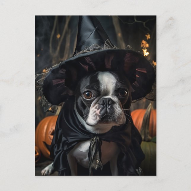Halloween Boston Terrier Dog Postcard Postkarte (Vorderseite)