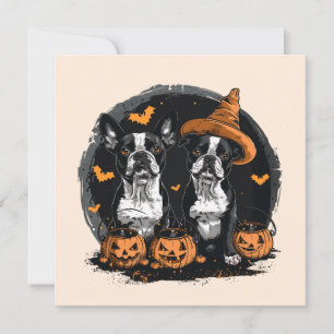 Halloween Boston Terrier Dogs Einladung