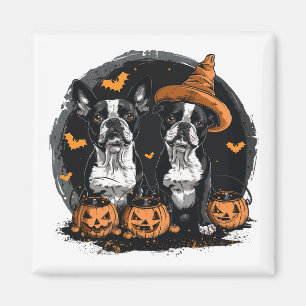 Halloween Boston Terrier Dogs Magnet
