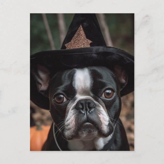 Halloween Boston Terrier Postcard Postkarte (Vorderseite)