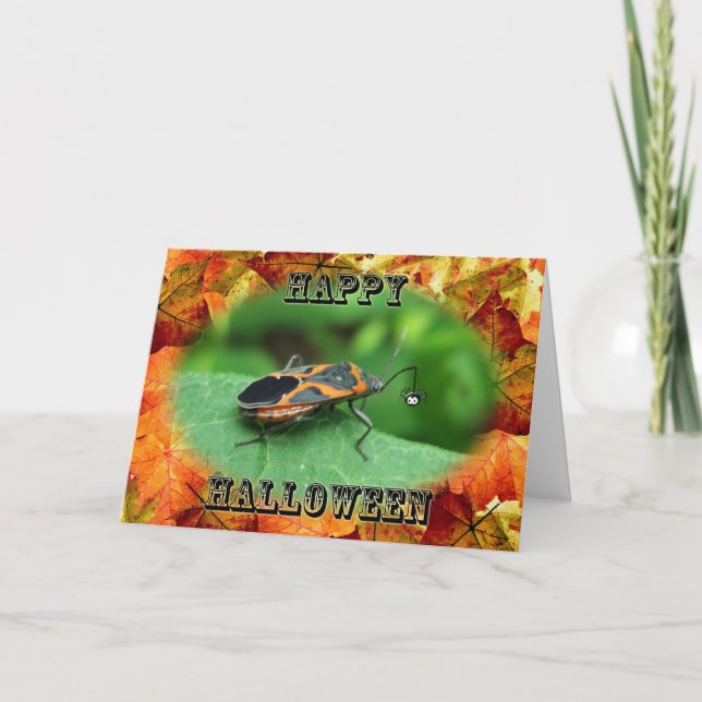 Halloween Box Elder Bug Card Karte (Vorderseite)