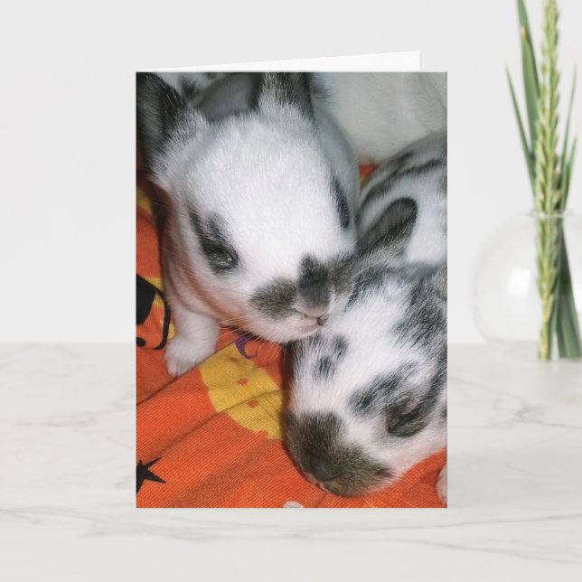 Halloween Bunnies Karte (Vorderseite)