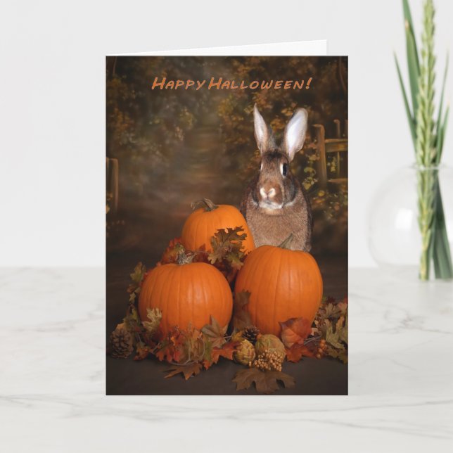 Halloween Bunny in einem Pumpkin-Patch Karte (Vorderseite)