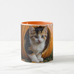 Halloween Calico Kitten sitzt in einem Kürbis Tasse
