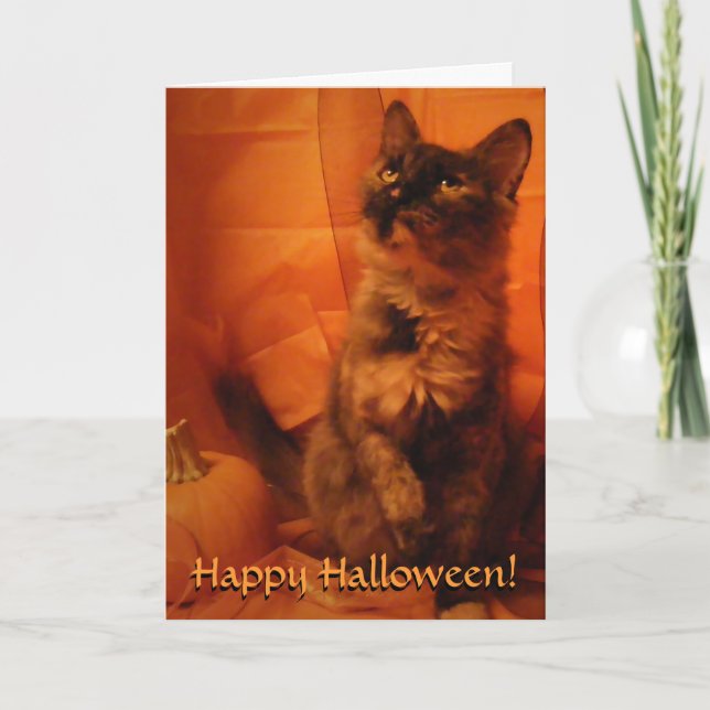 Halloween Cat Card Karte (Vorderseite)