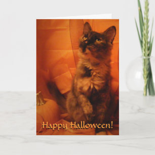 Halloween Cat Card Karte