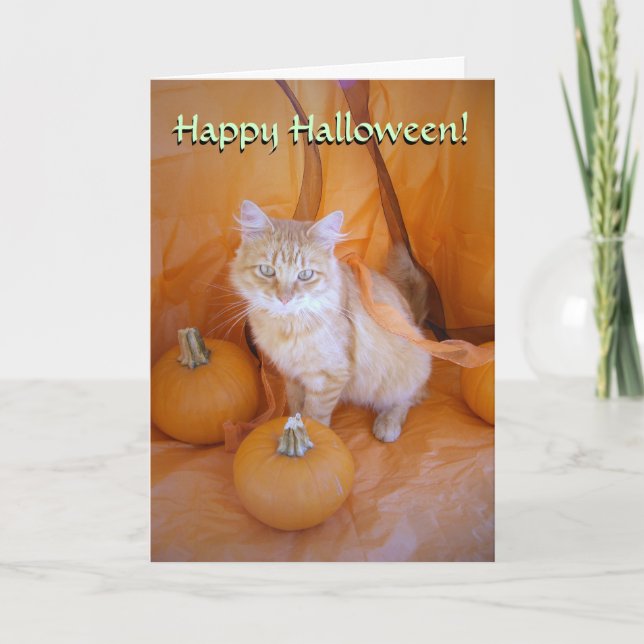 Halloween Cat Card Karte (Vorderseite)