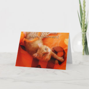 Halloween Cat Card Karte