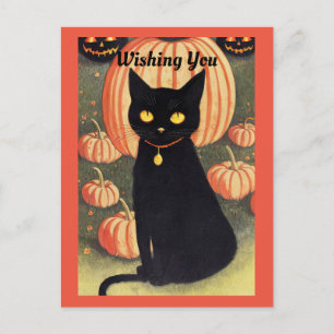 Halloween Cat Holiday Postkarte